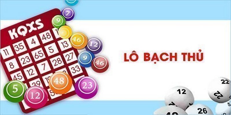 soi-cau-lo-bach-thu