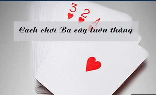 Tìm hiểu về bài 3 cây