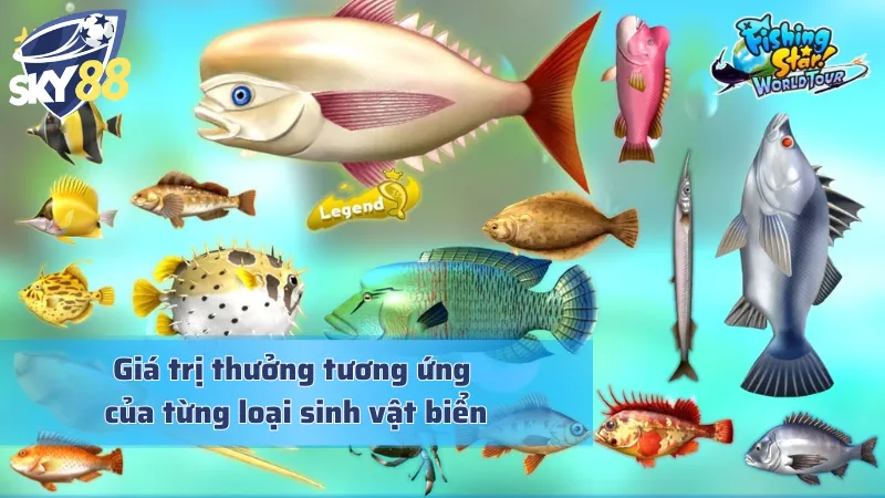 Giá trị tiền thưởng hậu hĩnh trong All Star Fishing