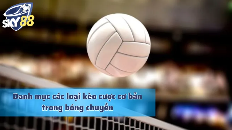 Đa dạng các loài kèo cá cược bóng chuyền