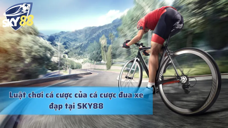 Luật chơi cơ bản về cá cược đua xe đạp