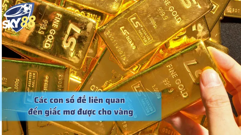 Thấy được vàng khi mơ và những con số tiềm năng
