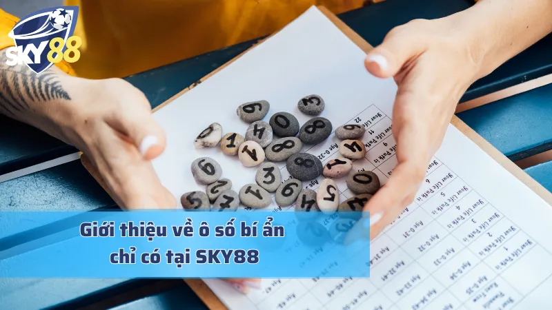 Giới thiệu về ô số bí ẩn