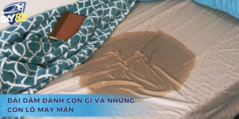 Các cặp số và thắc mắc đái dầm đánh con gì