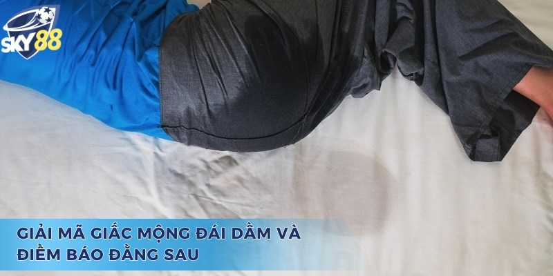 Giải mã chiêm bao và câu hỏi đái dầm đánh con gì