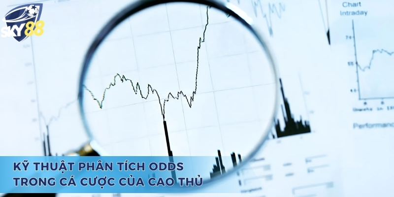 Kỹ thuật phân tích odds là gì? 
