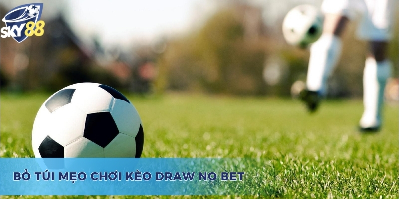 Thủ thuật chơi hiệu quả kèo Draw No Bet là gì