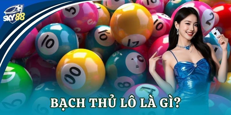 Bạch thủ lô là gì?